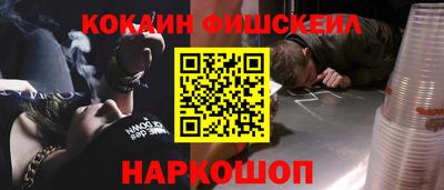 индика Сланцы