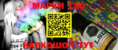 индика Сланцы