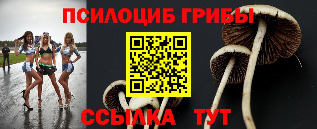 Новосибирск  Галлюциногенные грибы ЛСД  Вход с VPN  Псилоцибиновые грибы Magic Shrooms 
